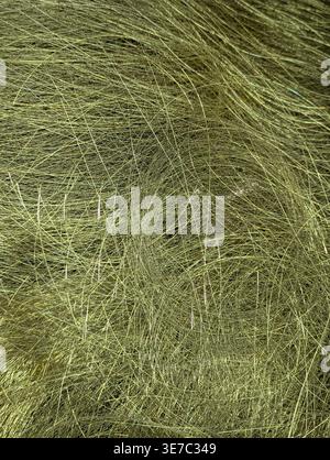 Close-up macro photograph showing a dense abstract pattern of tangled olive and golden-green fibers with soft highlights, suitable for organic textile Stock Photo
