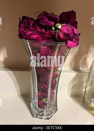 Dried Roses Stock Photo
