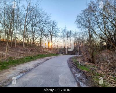 Toronto, ON, Canada – April 16, 2024: A narrow dirt trail winds uphill through a leafless forest under clear spring skies. Stock Photo