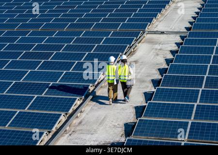 Hispanic and caucasian female engineers wearing hard hats and safety vests discussing work while walking on commercial rooftop with solar panels on... Stock Photo
