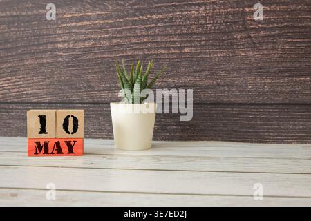May 10, Cover natural background, white wooden Calendar cube with a pot flower on white background. Stock Photo