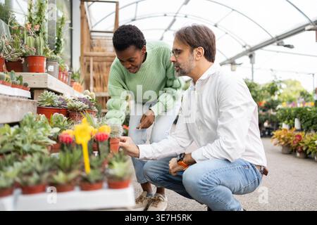 Two people enjoy exploring a wide variety of plants in a vibrant garden store greenhouse They are selecting colorful succulents and cacti in clay pots Stock Photo