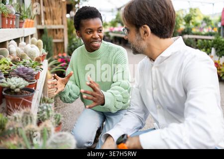A cheerful garden store scene with an employee enthusiastically discussing cactus plants with a customer, surrounded by vibrant succulents The atmosph Stock Photo