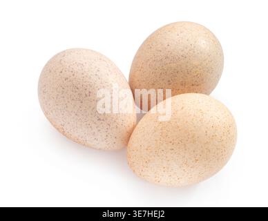 Turkey eggs clipping path isolated on white background Stock Photo