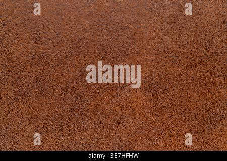 brown leather texture closeup detailed background Stock Photo