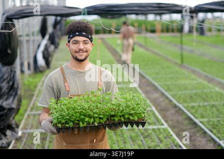 Mixed-race male worker holding seedlings while standing in greenhouse Stock Photo