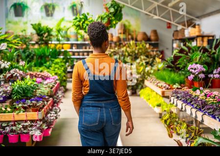 Back view of Hispanic female gardener in denim overalls looking at plants while walking in greenhouse Stock Photo