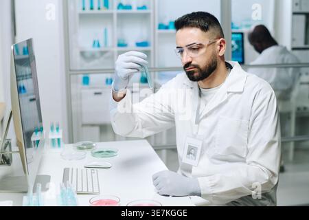 Middle Eastern man wearing white lab coat gloves and eyeglasses checking blue liquid substance in test tube sitting at table in laboratory Stock Photo