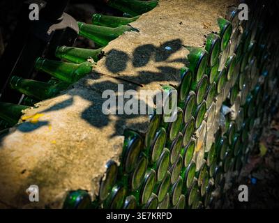 Wall constructed from green glass bottles embedded in concrete, with sunlight and leaf shadows. Stock Photo