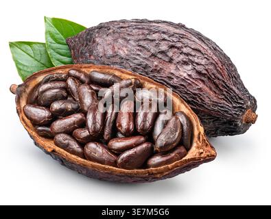 Cocoa pods with half a cocoa pod filled with cocoa beans isolated on white background. Clipping path Stock Photo