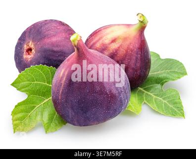Fresh ripe blue figs isolated on white background. Natural organic fruit ideal for healthy food and nutrition concepts. Clipping path Stock Photo