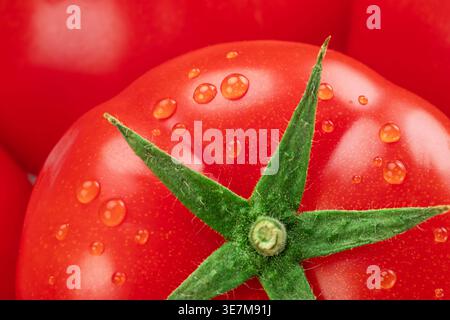 Macro close up photo of ripe tomatoes with water drops.  Organic tomato vegetable perfect for healthy meals. Stock Photo