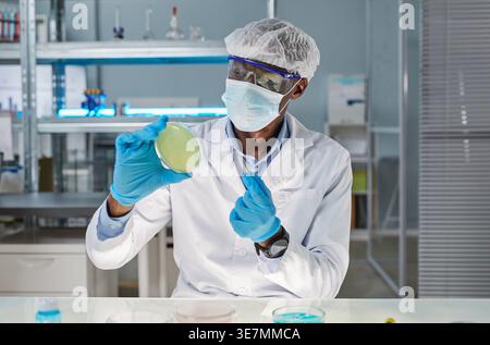 Black male scientist wearing lab coat and mask examining samples while sitting at desk in laboratory Stock Photo