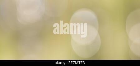 Natural olive green abstract bokeh background with soft blurred circular light spots Stock Photo