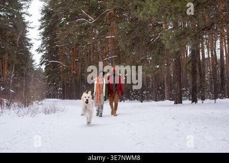 Cheerful Black couple walking in forest with labrador during winter Stock Photo