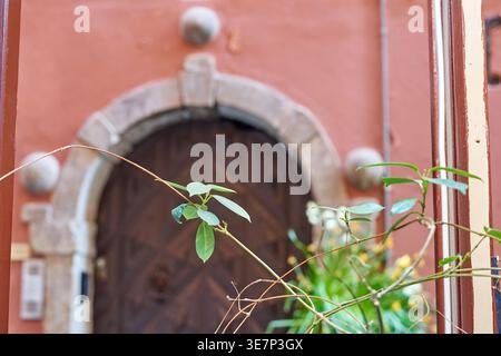 Selective focus on fresh green plant branches and leaves in the foreground, with a blurred traditional arched doorway in the background. The building Stock Photo