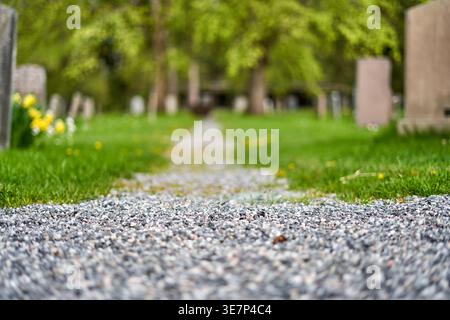 A low-angle, close-up view of a gravel path leading through a cemetery, with the foreground stones in sharp focus and the background softly blurred. Stock Photo