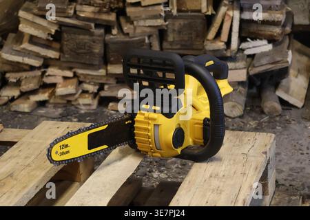 A battery-powered chainsaw sits on wooden pallets near stacked logs in an outdoor area during the afternoon. Tools and equipment surround it. Stock Photo