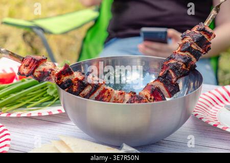 Picnic in nature, cooked barbecue and vegetables with herbs on the table. Stock Photo