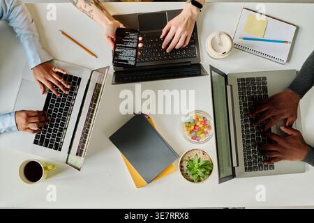 Group of programmers working on laptops sitting together at table in office Stock Photo