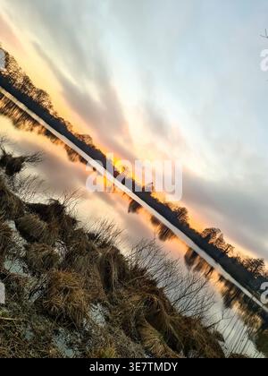 Warm sunset light reflecting on still water, showing silhouetted trees and foreground dry reeds Stock Photo