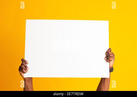 Hands of  Black male holding white blank board standing in front of yellow background in studio Stock Photo