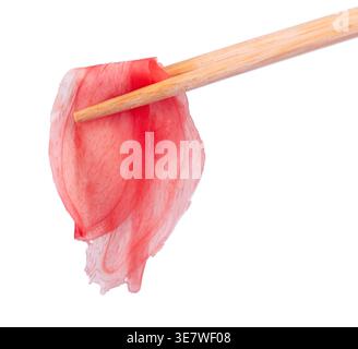 Pickled ginger slices held by wooden chopsticks isolated on white background. Heap of marinated ginger. Clipping path Stock Photo