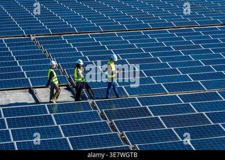 Diverse group of engineers wearing hard hats and safety vests conducting inspections and maintenance work while walking across vast array of solar ... Stock Photo