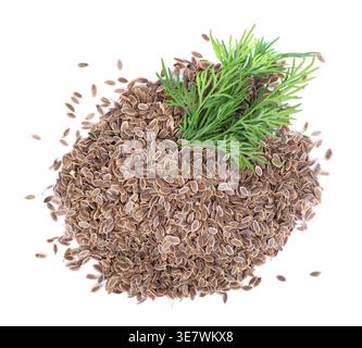 Dried dill seeds with a small bunch of fresh green dill isolated on white background Stock Photo