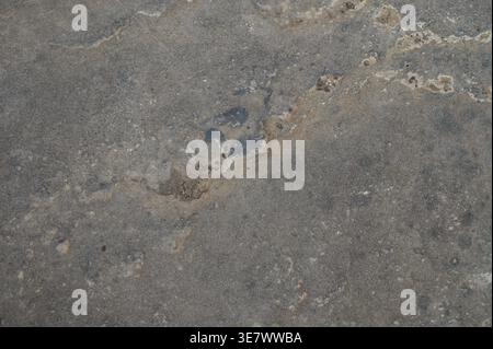 High-resolution close-up image of a concrete floor texture resembling natural stone. The surface features subtle irregularities, fine grain, and natur Stock Photo