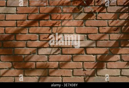 High-resolution image of a red brick wall texture featuring evenly laid masonry with visible mortar joints. The surface shows natural variations in br Stock Photo