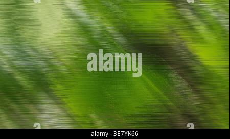 Abstract green lines creating a blurred motion background texture Stock Photo