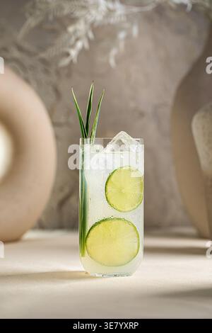 Lime cocktail with ice and fresh citrus slices Stock Photo