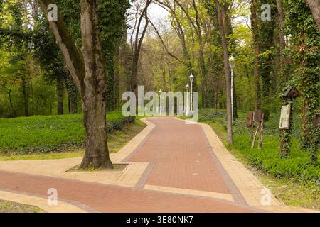 Curving Brick Path Through Lush Green Forest Stock Photo