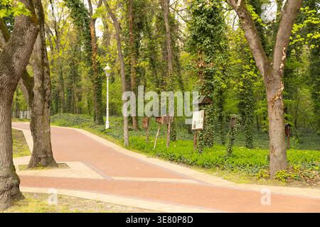 Curving Brick Path Through Lush Green Forest Stock Photo