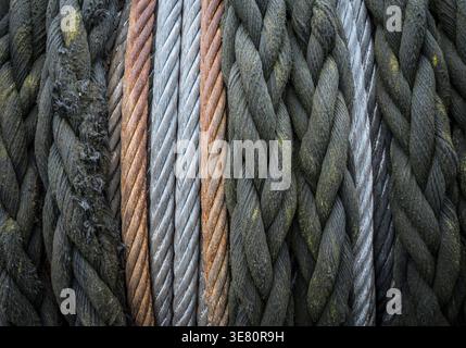 different kind of ropes on a drum Stock Photo