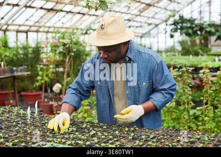 Black man in hat and gloves planting seedlings in greenhouse Stock Photo