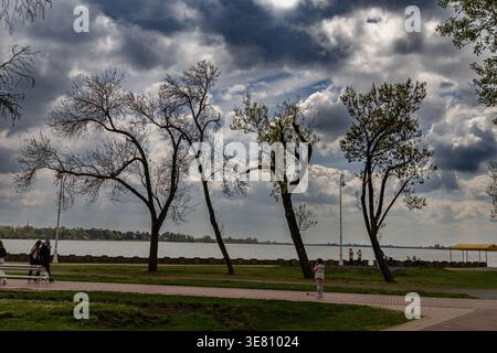 Leafless Lakeside Trees Under Dramatic Cloudy Sky Stock Photo