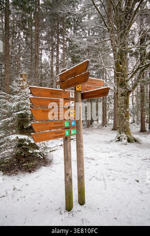 Path signs in Bavarian Forest National Park, Bayerischer Wald, Bavaria, Germany Stock Photo
