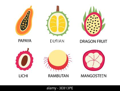Exotic fruit icon set papaya, mangosteen, lychee Stock Vector