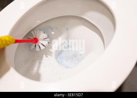 High-detail image of a toilet brush scrubbing a clean white toilet bowl, showcasing hygiene and bathroom cleaning. Ideal for advertising cleaning prod Stock Photo