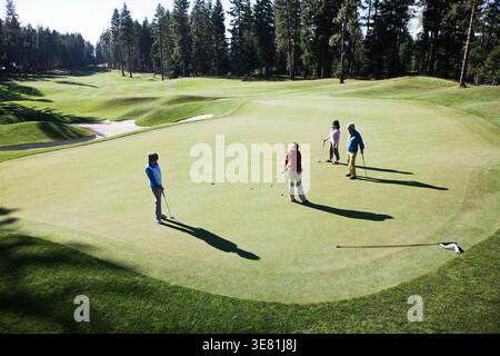 Asian senior couple with friends standing on golf course on sunny day Stock Photo