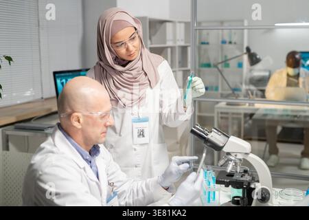 Focused Mixed race Muslim female scientist in lab coat holding test tube with blue substance standing near caucasian male colleague working on tabl... Stock Photo