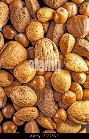 Assorted whole nuts in shells—walnuts, hazelnuts, almonds and Brazil nuts—forming a warm, textured pattern of natural tones and rustic detail. Stock Photo