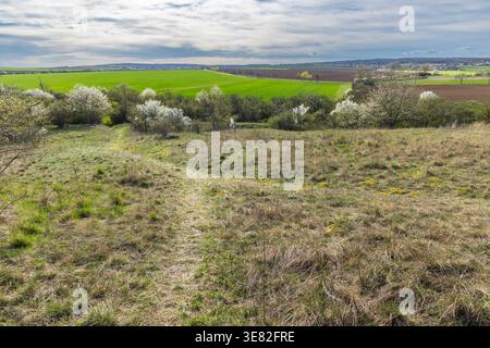 Spring landscape showing a dirt path winding through blooming trees, fresh green fields, and distant villages Stock Photo