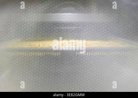 View through the window of the drying cabinet, how lemons and oranges cut into slices are dried Stock Photo