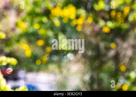 Dreamy pastel colours in nature. Stock Photo