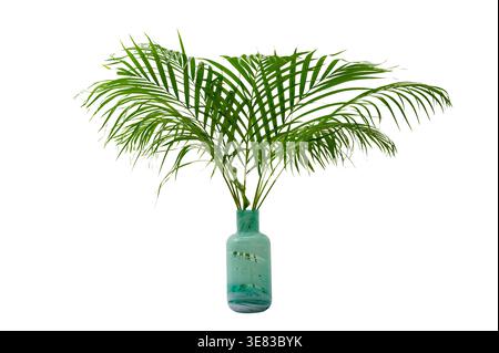 Tropical Palm Leaves in a Teal Marble Glass Vase. palm tree in a flowerpot. palm tree in a vase Stock Photo