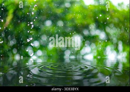 Pure Serenity Water Ripples and Falling Raindrops on a Lush Green Background. Water droplets splashing into still water, surrounded by greenery Stock Photo