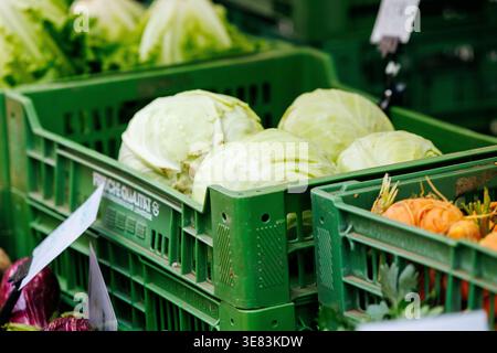 Villach, Austria - September 05, 2025: Fresh green cabbages and assorted vegetables are displayed in green crates at a lively market Stock Photo